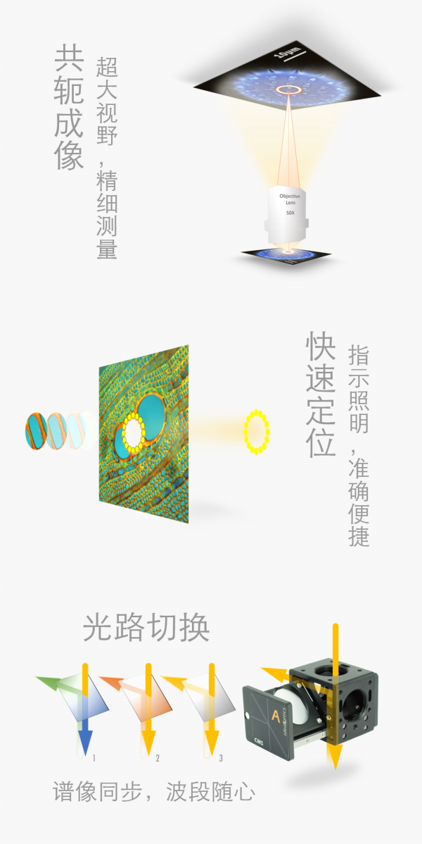 显微光谱（微区光谱）系统