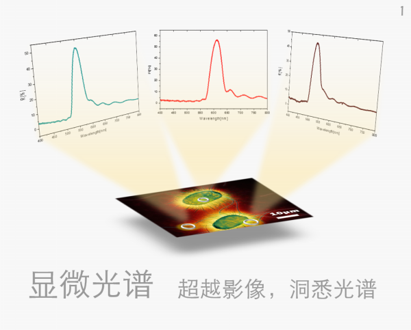 显微光谱（微区光谱）系统