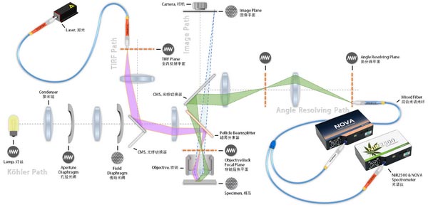 微区光谱与显微角分辨光谱联用系统